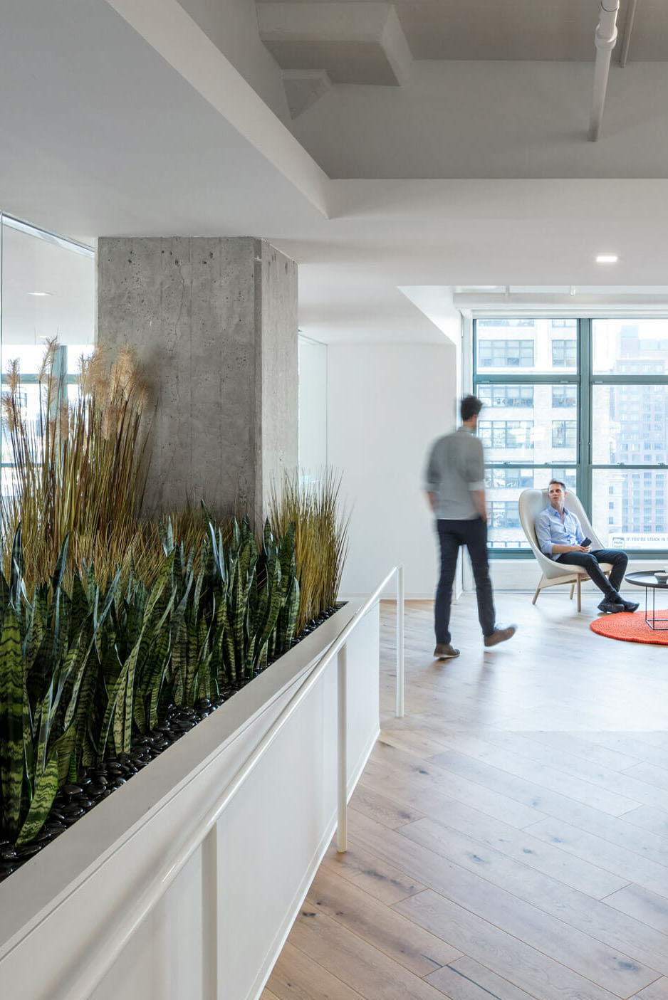 Interieurbeplanting