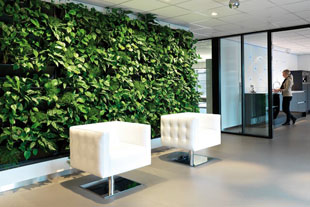 Interieurbeplanting offerte